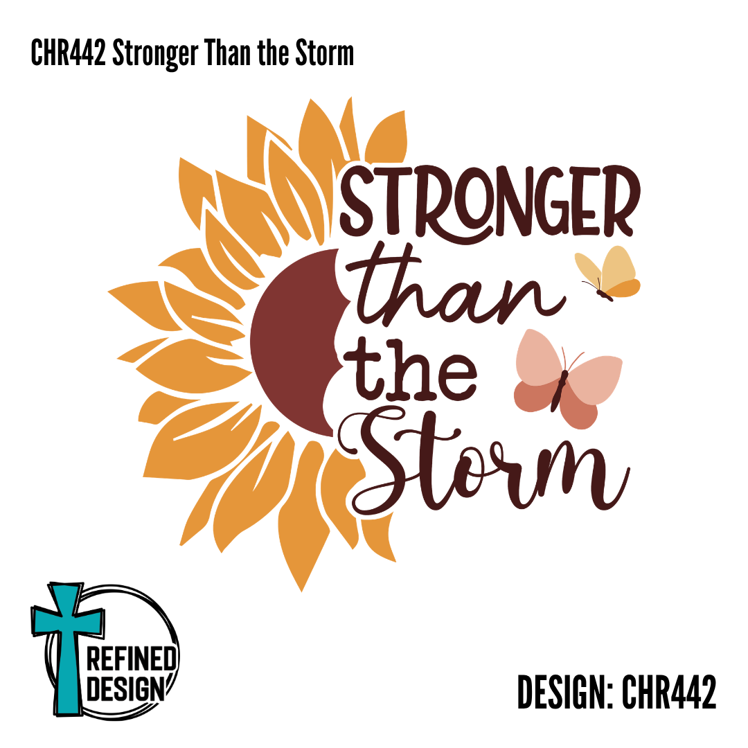 CHR442 Stronger Than the Storm